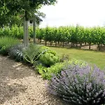 Bed & Breakfast Chateau Belles Graves