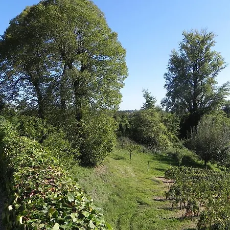 לינה וארוחת בוקר Chateau Belles Graves 2*