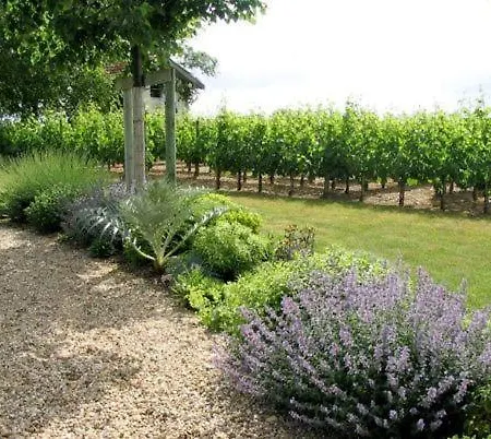 לינה וארוחת בוקר Chateau Belles Graves