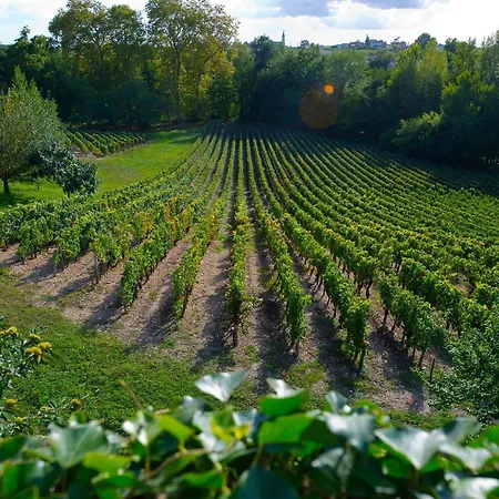 לינה וארוחת בוקר Chateau Belles Graves Pomérols